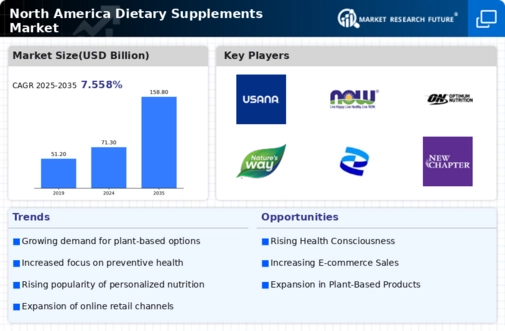 North America Dietary Supplements Market Infographic