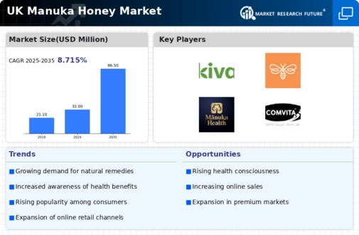 UK Manuka Honey Market Infographic