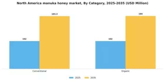 North America Manuka Honey Market Segment Image 0