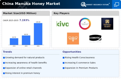 China Manuka Honey Market Infographic