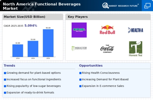 North America Functional Beverages Market Infographic