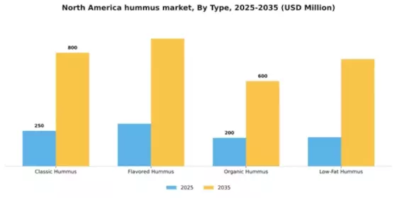 North America Hummus Market Segment Image 3