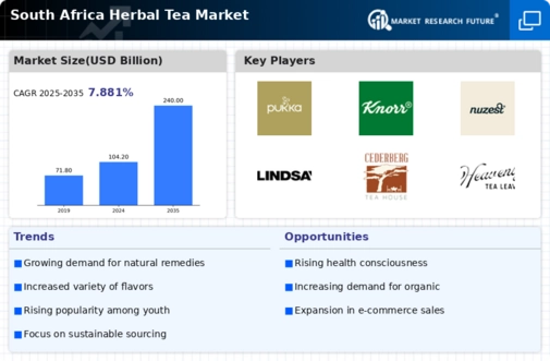 South Africa Herbal Tea Market Infographic