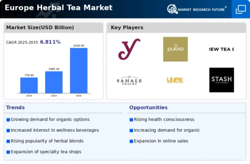 Europe Herbal Tea Market Infographic