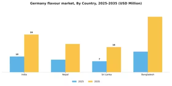 Germany Flavour Market Segment Image 1