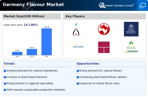 Germany Flavour Market Infographic