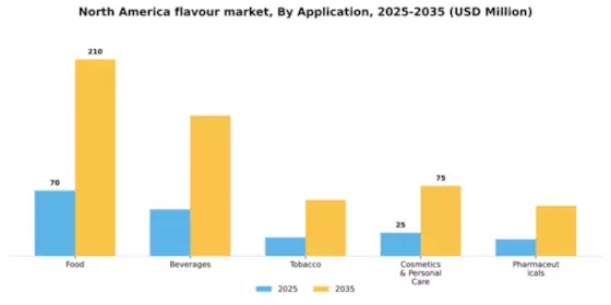 North America Flavour Market Segment Image 0