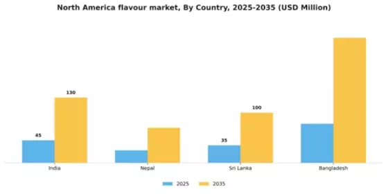 North America Flavour Market Segment Image 1
