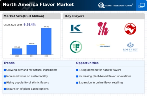 North America Flavour Market Infographic
