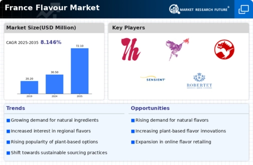 France Flavour Market Infographic