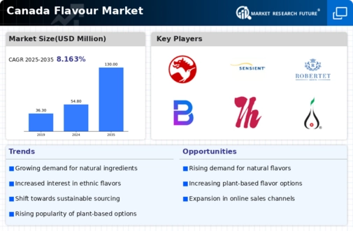 Canada Flavour Market Infographic