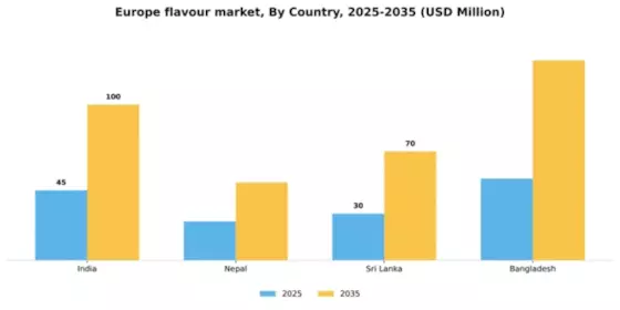 Europe Flavour Market Segment Image 1