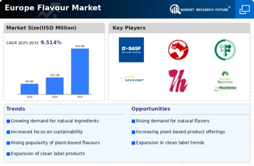 Europe Flavour Market Infographic