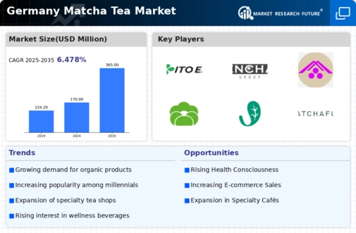 Germany Matcha Tea Market Infographic