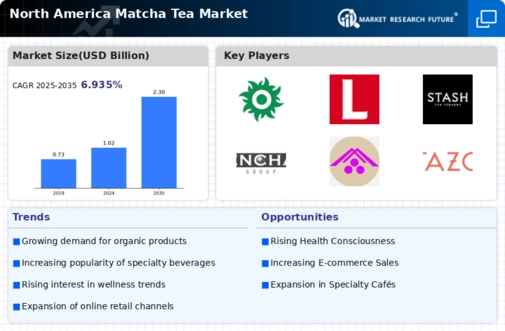 North America Matcha Tea Market Infographic