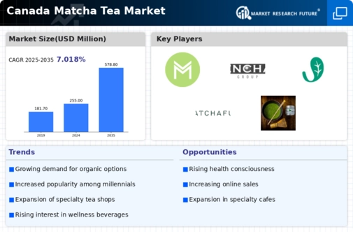 Canada Matcha Tea Market Infographic