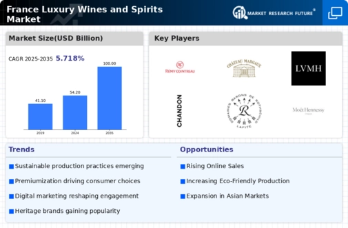France Luxury Wines and Spirits Market Infographic