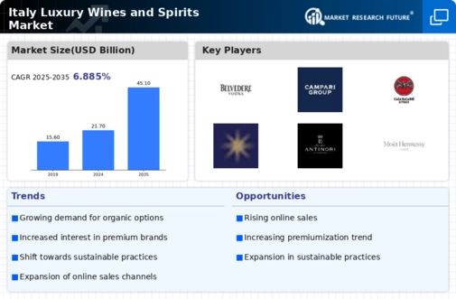 Italy Luxury Wines and Spirits Market Infographic