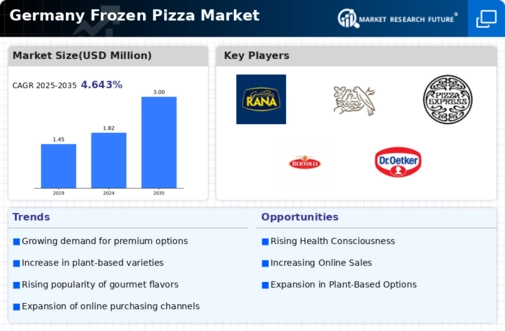 Germany Frozen Pizza Market Infographic