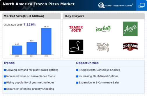 North America Frozen Pizza Market Infographic