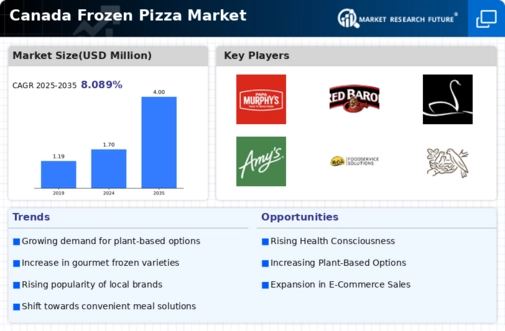 Canada Frozen Pizza Market Infographic