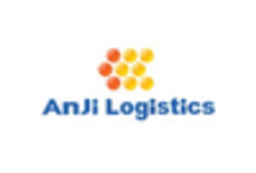 China Logistics Software Market key player