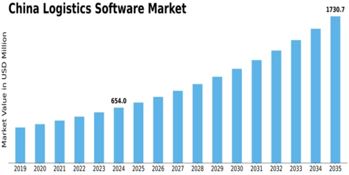China Logistics Software Market Size