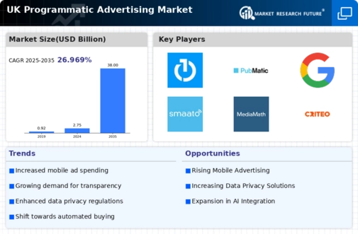 UK Programmatic Advertising Market Infographic