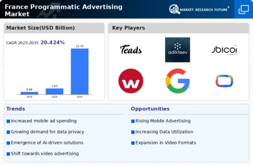 France Programmatic Advertising Market Infographic