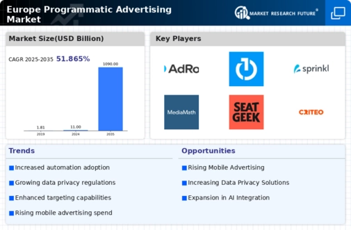 Europe Programmatic Advertising Market Infographic