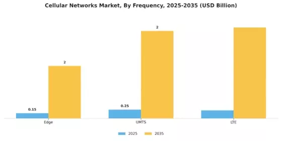 Cellular Networks Market Segment Image 1
