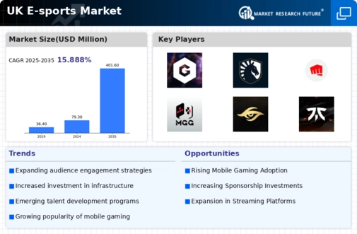 UK E Sports Market Infographic