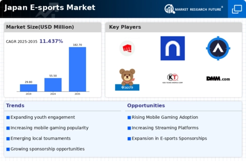 Japan E Sports Market Infographic