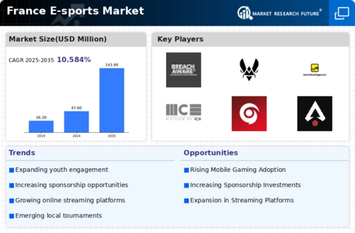 France E Sports Market Infographic