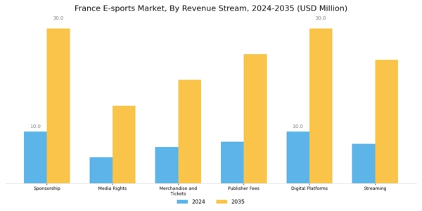 France E Sports Market Segment Image 0