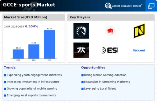 GCC E Sports Market Infographic