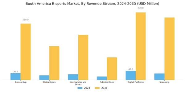 South America E Sports Market Segment Image 0
