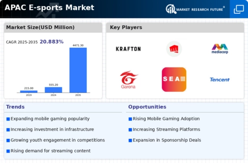 APAC E Sports Market Infographic