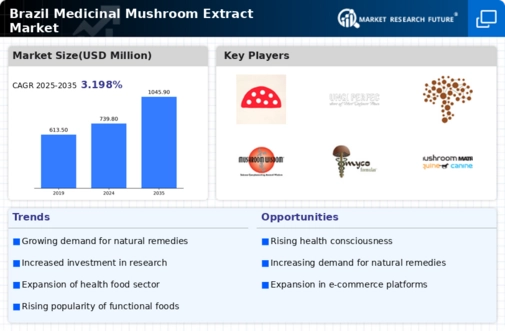 Brazil Medicinal Mushroom Extract Market Infographic