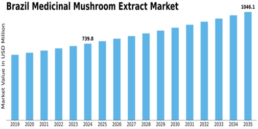 Brazil Medicinal Mushroom Extract Market Size