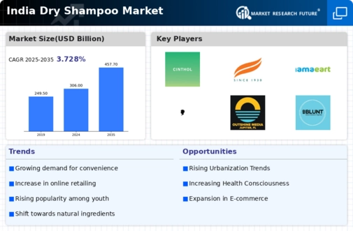 India Dry Shampoo Market
 Infographic
