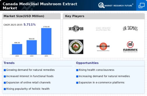Canada Medicinal Mushroom Extract Market Infographic