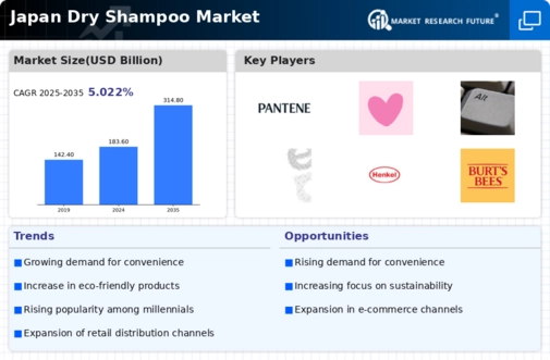 Japan Dry Shampoo Market Infographic