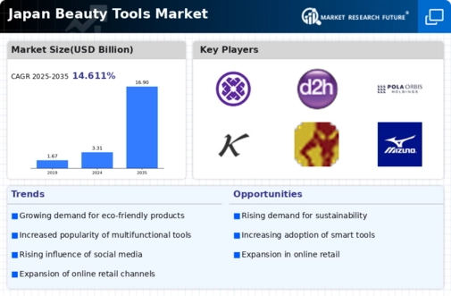 Japan Beauty Tools Market Infographic