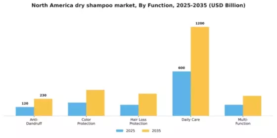 North America Dry Shampoo Market Segment Image 1