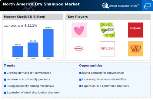 North America Dry Shampoo Market Infographic