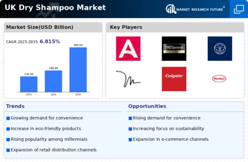 UK Dry Shampoo Market Infographic