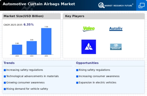 Automotive Curtain Airbags Market Infographic