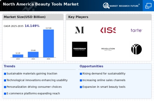 North America Beauty Tools Market
 Infographic