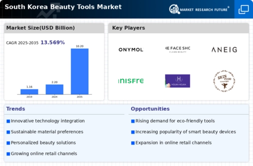 South Korea Beauty Tools Market Infographic